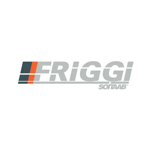 Friggi